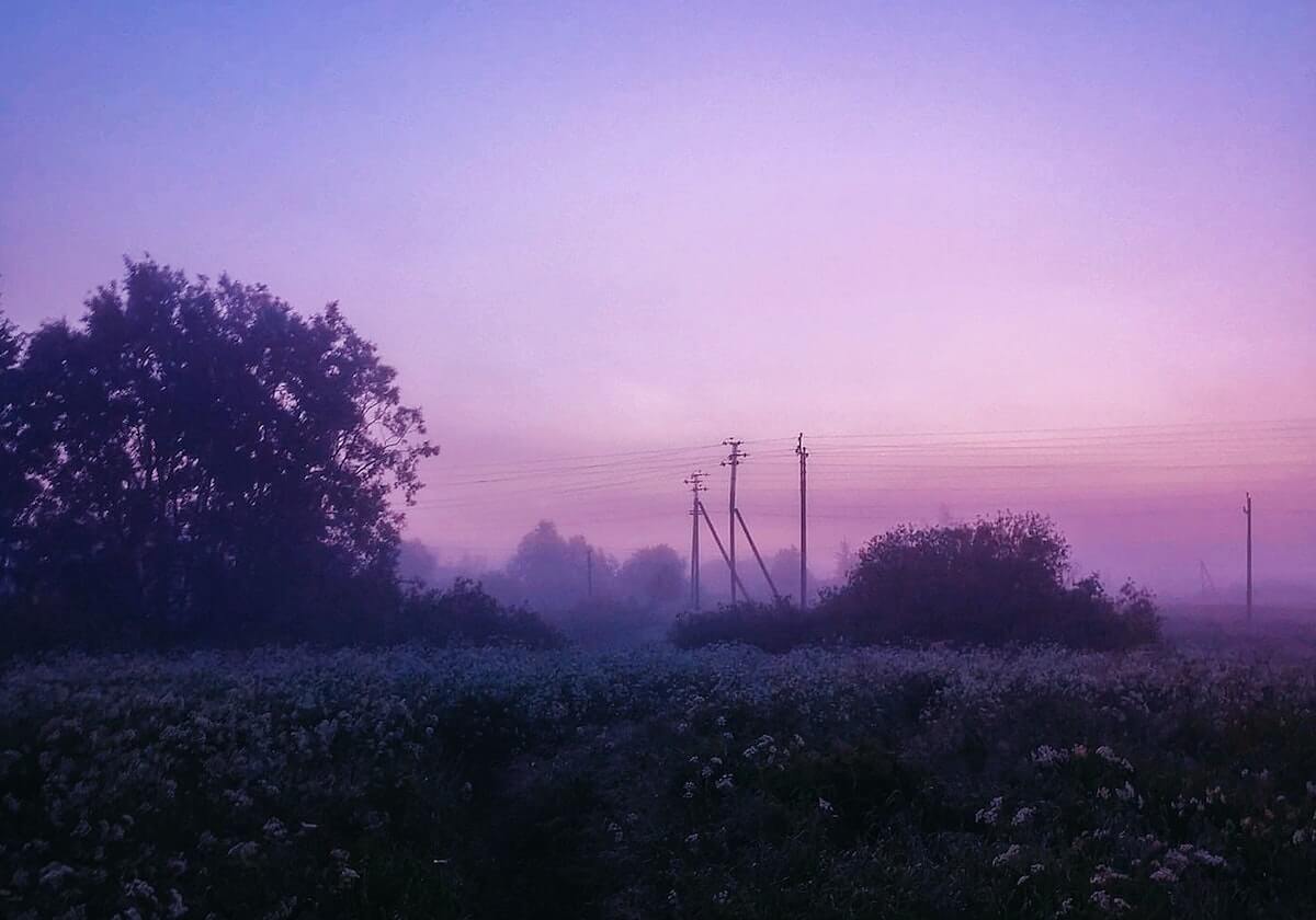 开云官网-小波特26分马绍尔21分 篮网不敌独行侠5连败